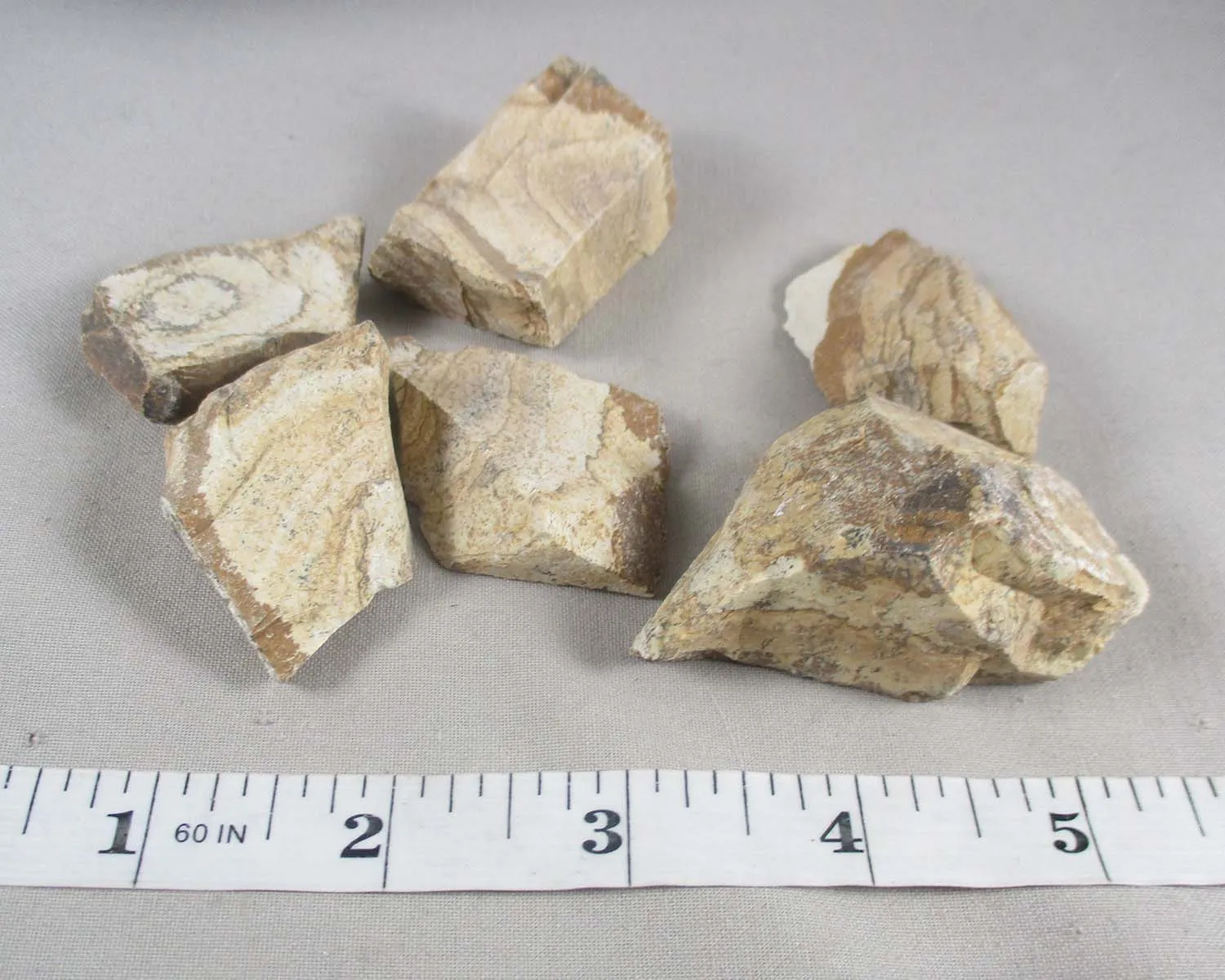 40% OFF!  Picture Jasper Raw Stones 3pcs H135**