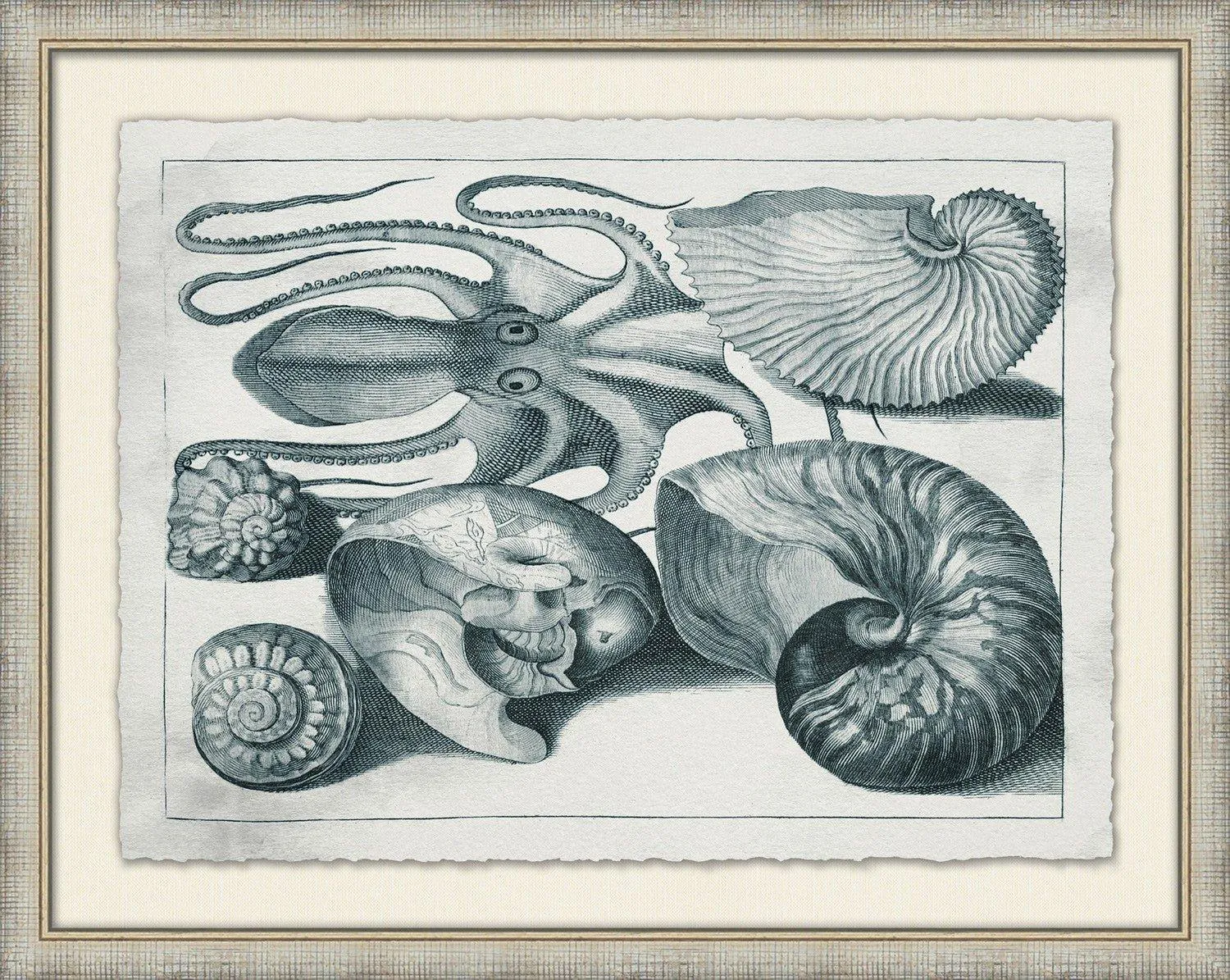 Aquatic Specimens Framed Wall Art